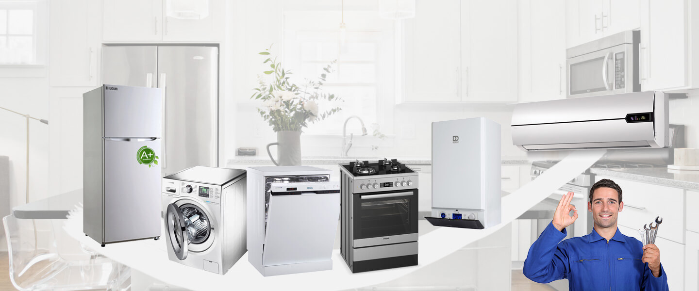 Arifiye Electrolux Servisi